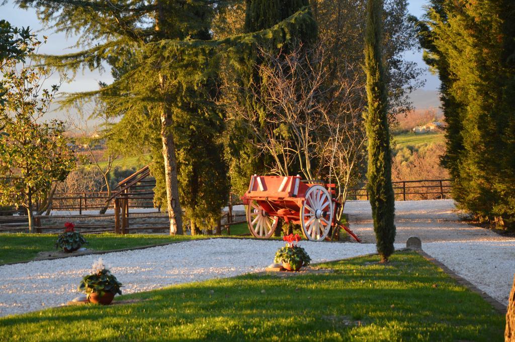 Agriturismo La Collina Pitigliano Szoba fotó