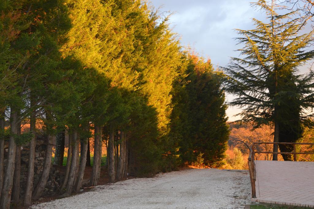 Agriturismo La Collina Pitigliano Kültér fotó
