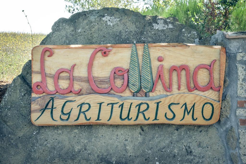 Agriturismo La Collina Pitigliano Kültér fotó